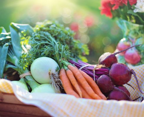 agriculture-basket-beets-533360