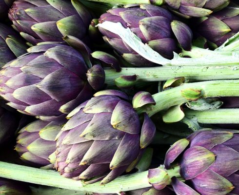 artichoke-2237845_1920