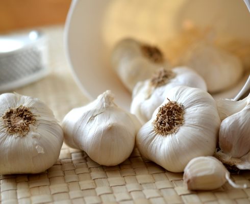 garlic-545223_1920