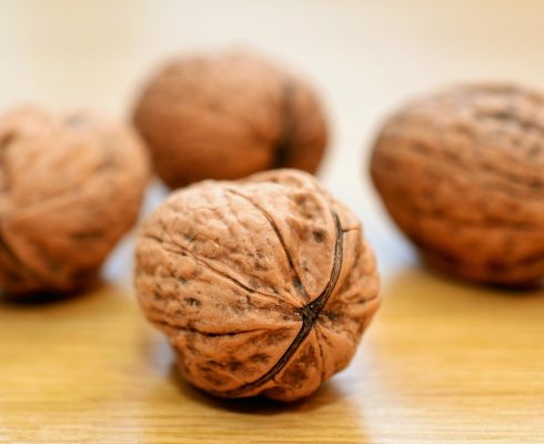 walnuts-552975_1280